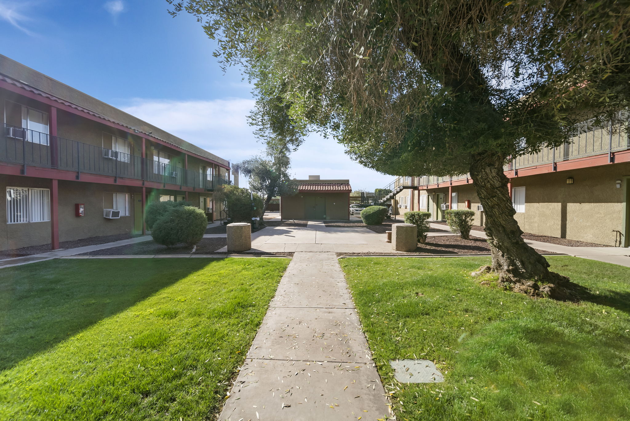 Terra Villa Apartments photo 5
